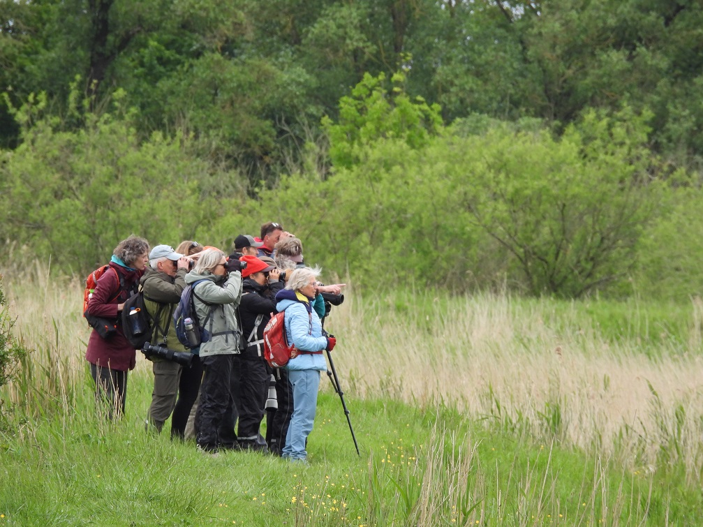 Biesbosch Kampje 09-05-2026 (Foto: Anke Brinkman)